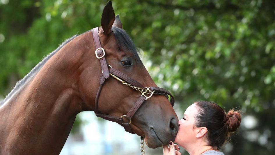 So Happy, Triple Crown, Kentucky Derby, Churchill Downs, horse racing, America's Best Racing, ABR